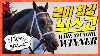 #2021휘트니스테익스 #북미최강닉스고 #경주및기수인터뷰