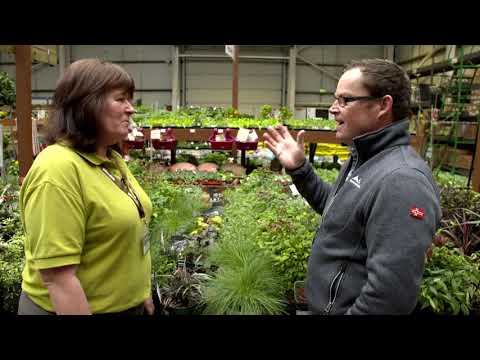 Super Garden 2018 - Episode 3 Sneak Peek