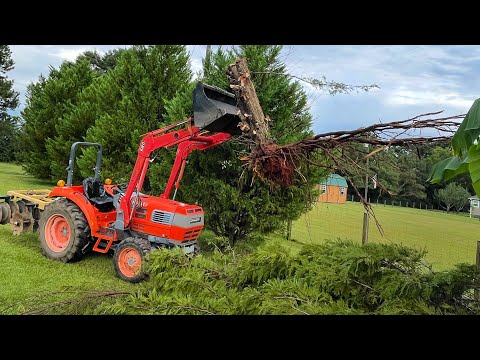 Using The Kioti DK35 To Remove Two Trees & Road Trip To Arizona!