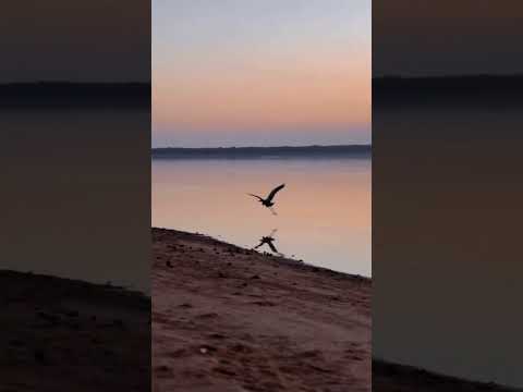 Colón, Entre Ríos 🇦🇷 El destino que es mucho más que sus termas