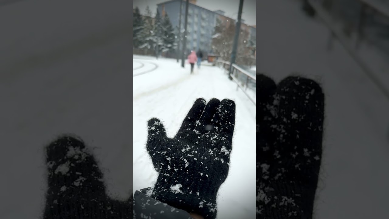 Shape of snow!… you could see the shape of snow flakes 🤩 #snow #prague #winter #europe #shape