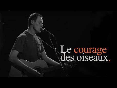 magdelaine - si seulement nous... (Dominique A, Pierre Lapointe, Metronomy, Joseph d'Anvers)