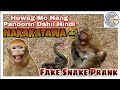 Fake Snake Prank! Sobrang Nakakatawa To! | Curious Media PH