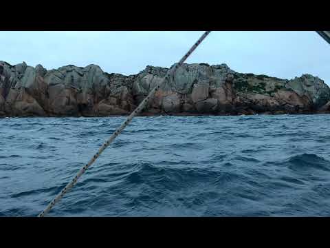 Velejada na Ilha Deserta - Reserva Biológica Marinha do Arvoredo - Floripa