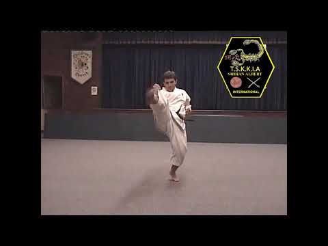 Kata 17 of 92 Gojushiho Sho