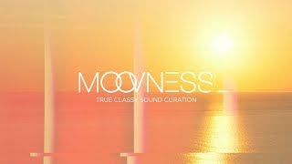 TAYLOR MCFERRIN FEAT. ANNA WISE - MEMORY DIGITAL