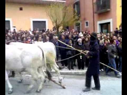 giro scarciacappe.mp4