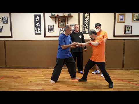 "Lock the Ends, Stretch the Middle." Master Chen Zhonghua NY Workshop 7/2023