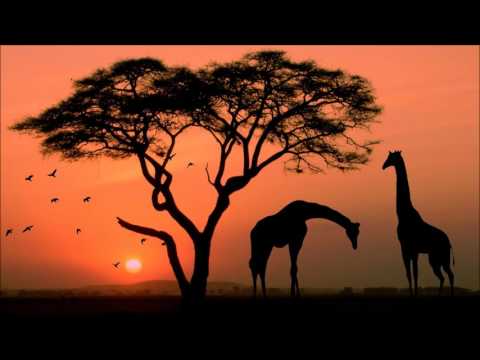 Porter Robinson - Language (Alex H Remix)