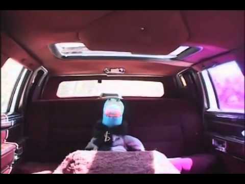 El Dinosaurio anacleto  -dinosaurio roberto  (31 minutos )