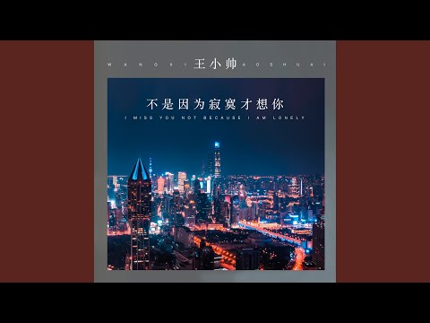 不是因为寂寞才想你