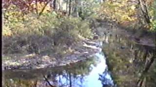 Willow Weep for Me - Chad and Jeremy , 1990 video produced by Tek