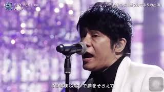 ASKA SAY YES