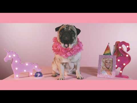 Mc Nill - Il Gender (Prod. Giovaz)