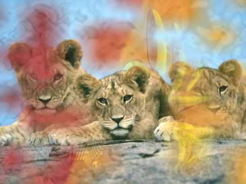 Tibebu Workeye Ft. Ermias360 - Masmesel { Ethiopia 12 }