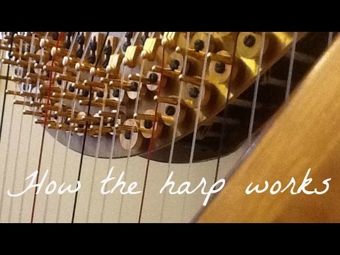 Harp Lesson | How the harp works