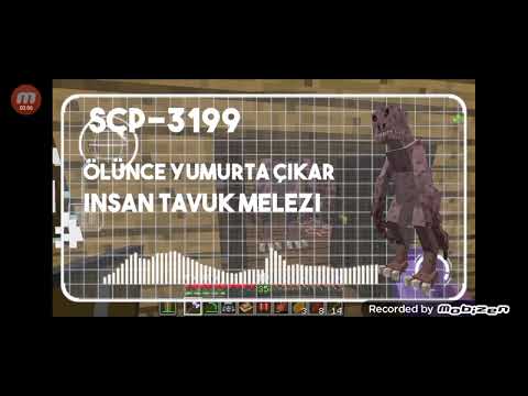scp 3199