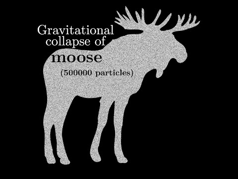 Gravitational collapse of a moose