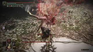 [ELDEN RING]王になる　実況生放送　#9