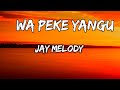Jay Melody - Wa peke yangu ( Lyrics Video )