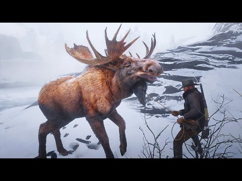 86 - 3 AMAZING ANIMALS - Lassoing the Moose + White Bison and Legendary Boar - Red Dead Redemption 2