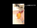 Finding Nemo Mp4