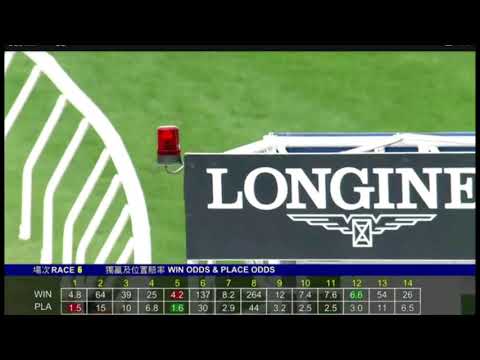 2020 12 13 沙田 第六場 潘明輝 錶之未來