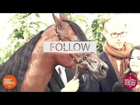 Promo WAHC Paris 2015