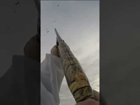 3 DUCKS DOWN! | Wknd Warriors Co.