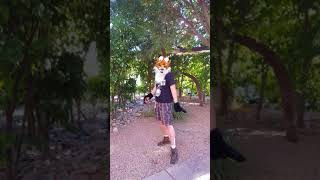 Triad Fox Sings &quot;Across the Border&quot; by Electric Light Orchestra at AZ furcon 2017