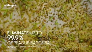 Waterpik Go Deeper Into the Forgotten Spaces