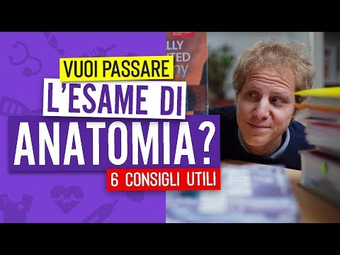 LE 6 COSE CHE DEVI SAPERE PRIMA DI STUDIARE ANATOMIA