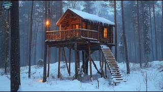 Masterpiece in the Trees: Preparing a Treehouse for Winter!