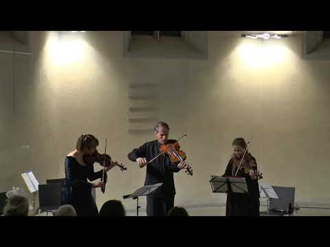 Garth Knox viola spaces Wasserkirche Zürich