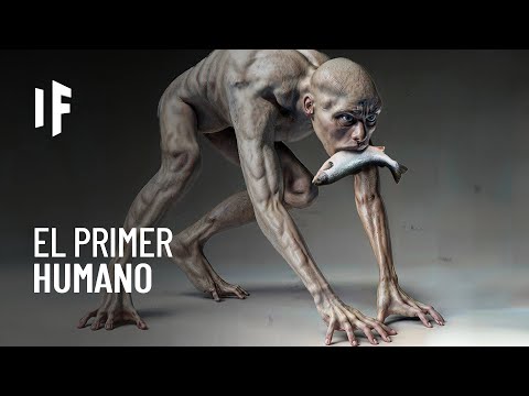 The evolution of humankind in 15 minutes