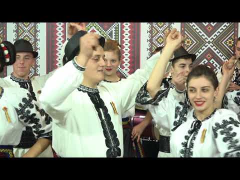 ANSAMBLUL RITMURI ZARANDENE - DANS TARINA