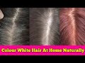 How To Dye Your Hair Naturally At Home Get Rid Of Grey White Hair At Home DIY Natural Hair Dye