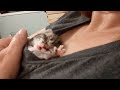 youtube thumb