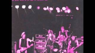 Glad to See you Go - Ramones - Live in Amsterdam 1986