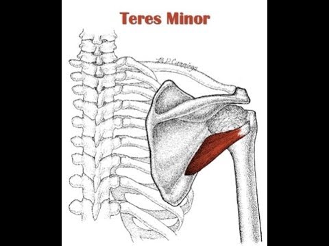 Properly executed teres minor exercise