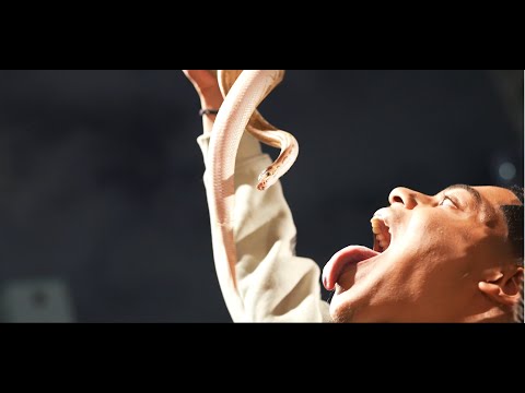 JayDot Geek - Party (Official Music Video)