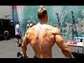 VEGAN NATURAL BODYBUILDER IN GOLDS GYM ON 5.7 % BODYFAT