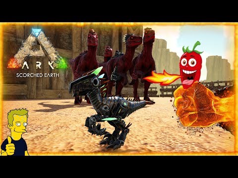 TEK RAPTOR Taming and Breeding ARK: Scorched Earth The hot one with Added Spice EP10