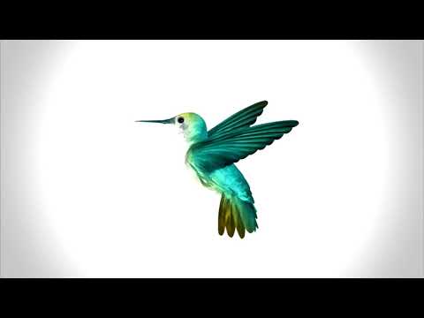 maciek. - pomysł na przyszłość