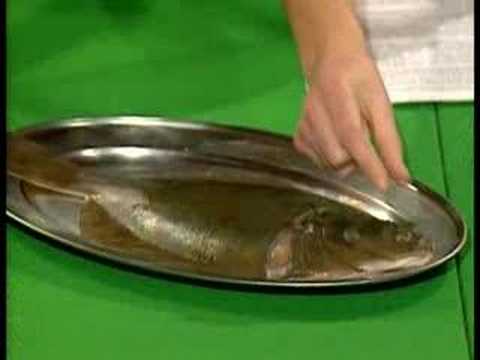 Richard Dawkins - Designed and Designoid Objects