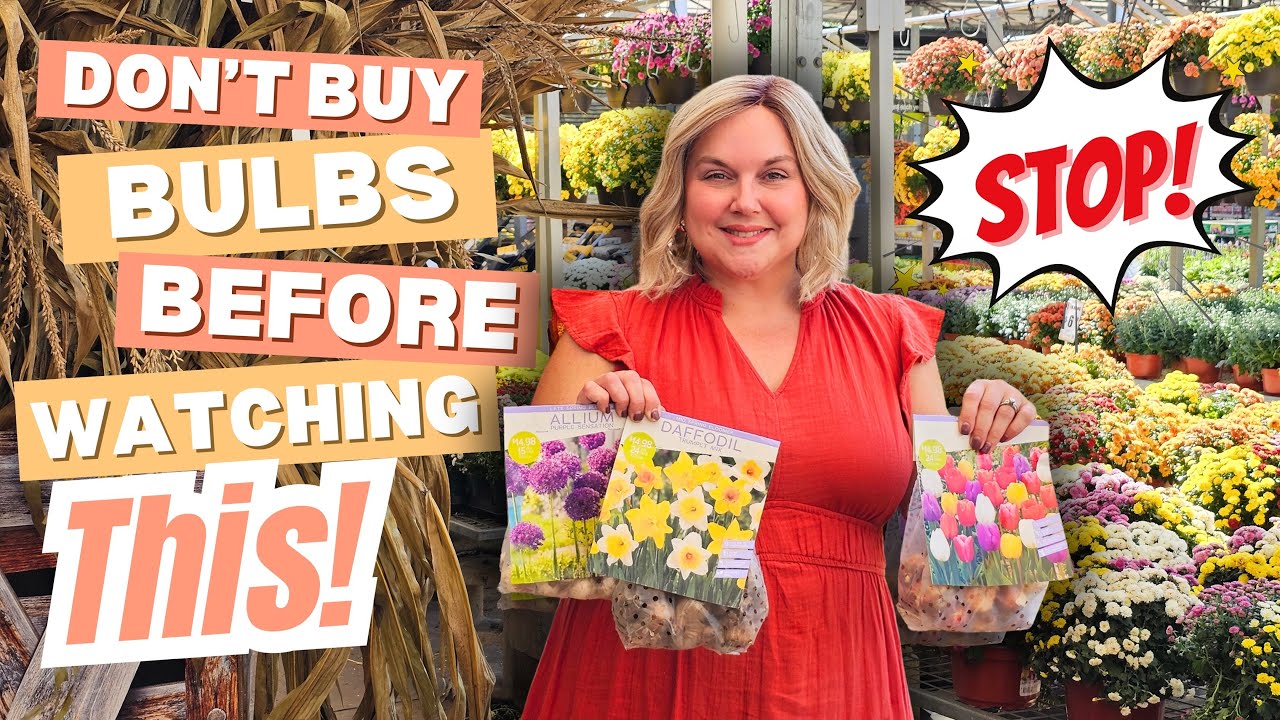 5 Best Picks for Fall Bulbs. Shopping at Home Depot for Spring Flowers