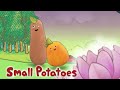 Small Potatoes - Love is in the Air | Songs for Kids