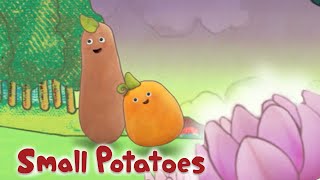 Small Potatoes - Love is in the Air  Songs for Kid