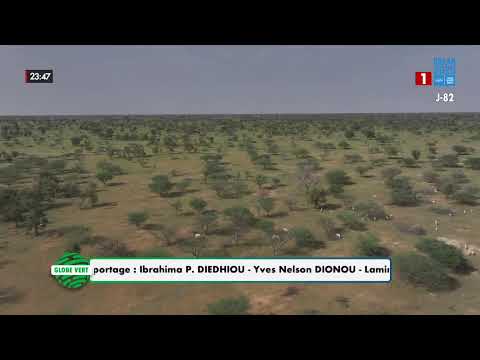 GLOBE VERT / ENCLOS DE KATANÉ : Sanctuaire des oryx - LUNDI 10 AOUT 2026