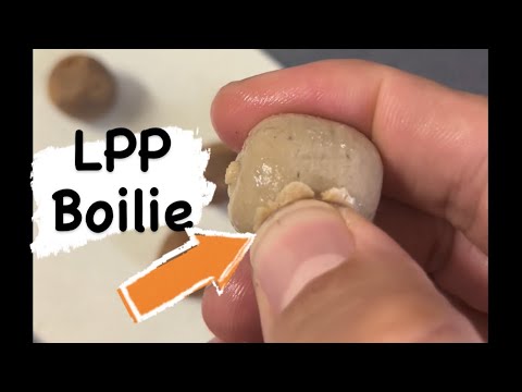 LPP Boilie, der mit der Paste im Mix. Wir testen mit Euch. Bisher einzigartig.